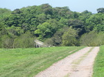 SX14222 Looking back to eight arch bridge over Lily Ponds at Bosherston.jpg